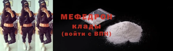 стаф Гатчина
