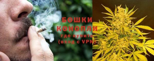 ГАЛЛЮЦИНОГЕННЫЕ ГРИБЫ Алзамай
