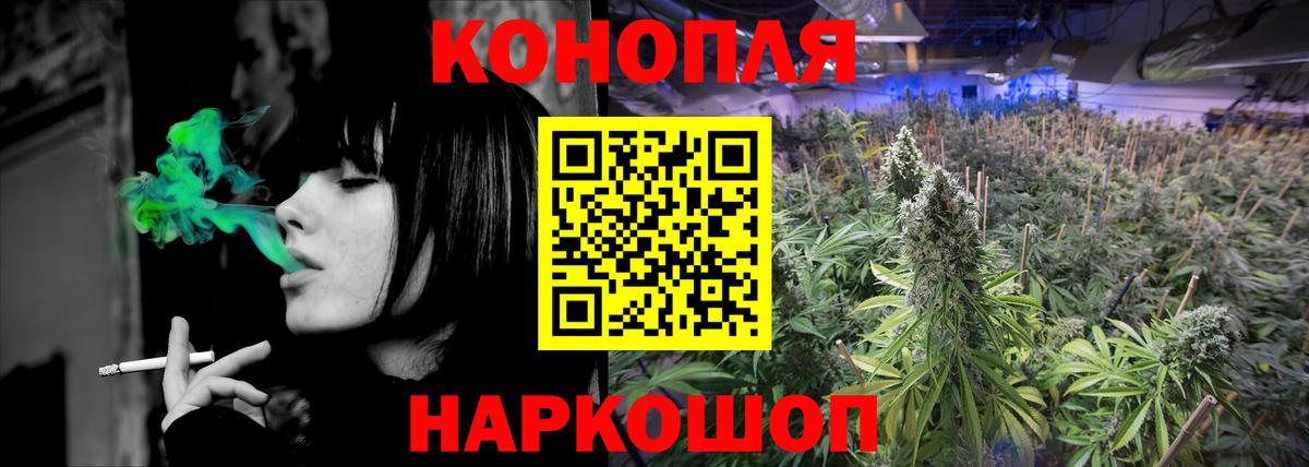 Каннабис OG Kush Ступино